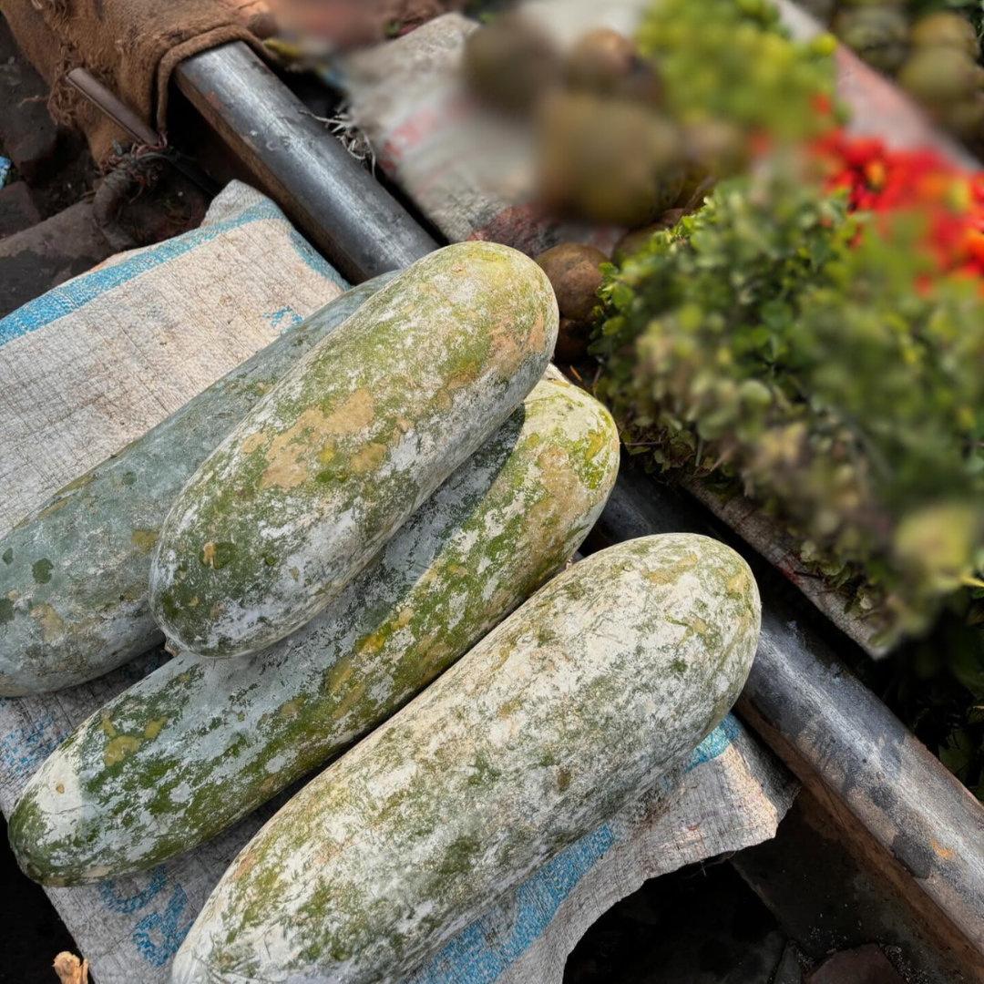 Joha kumura (জোহা কুমুৰা)